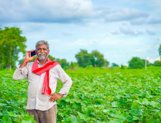 Contact Soilganic Gaurs