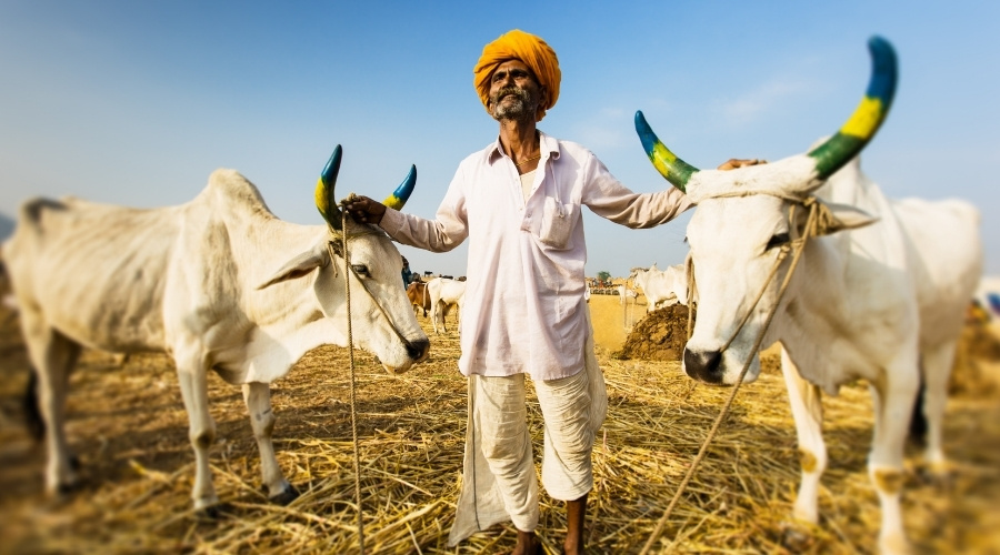 Our History - Soilganic Gaurs