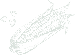 Vermi Compost for Healthy Farming