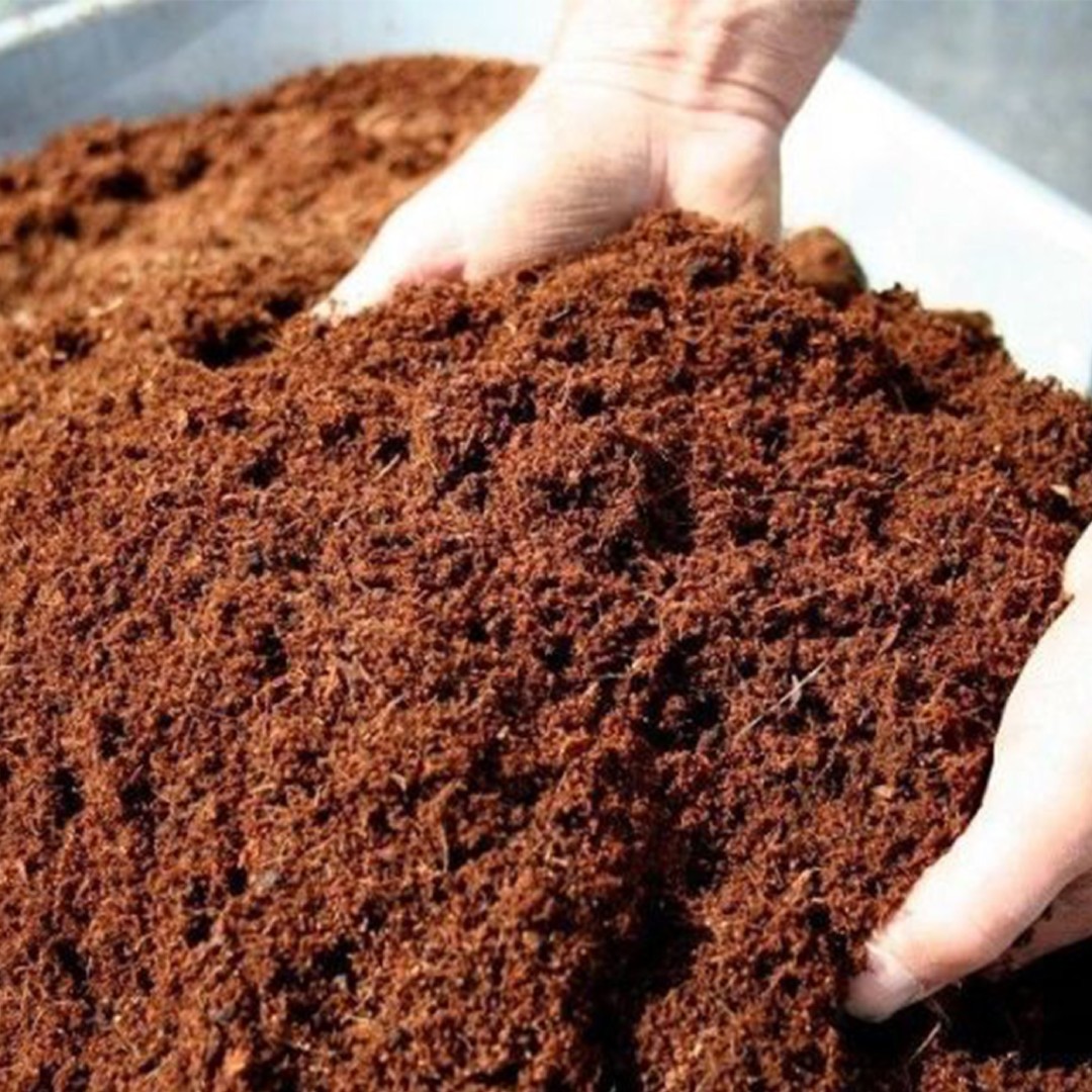 Cocopeat Block 1 KG