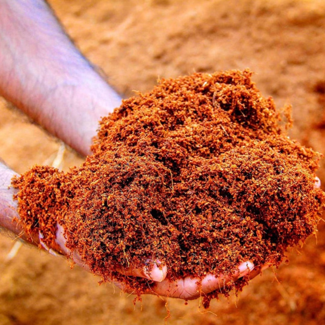 Cocopeat Block 1 KG